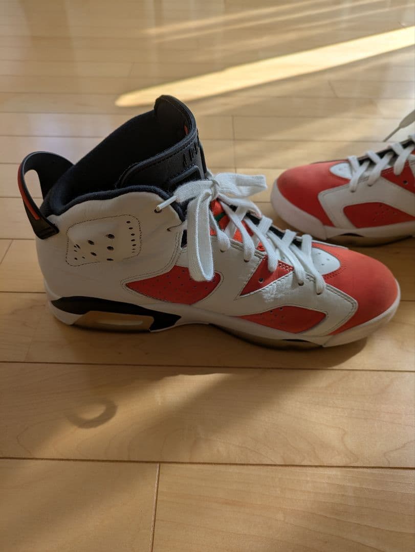 NIKE Air Jordan 6 Retro 28センチ