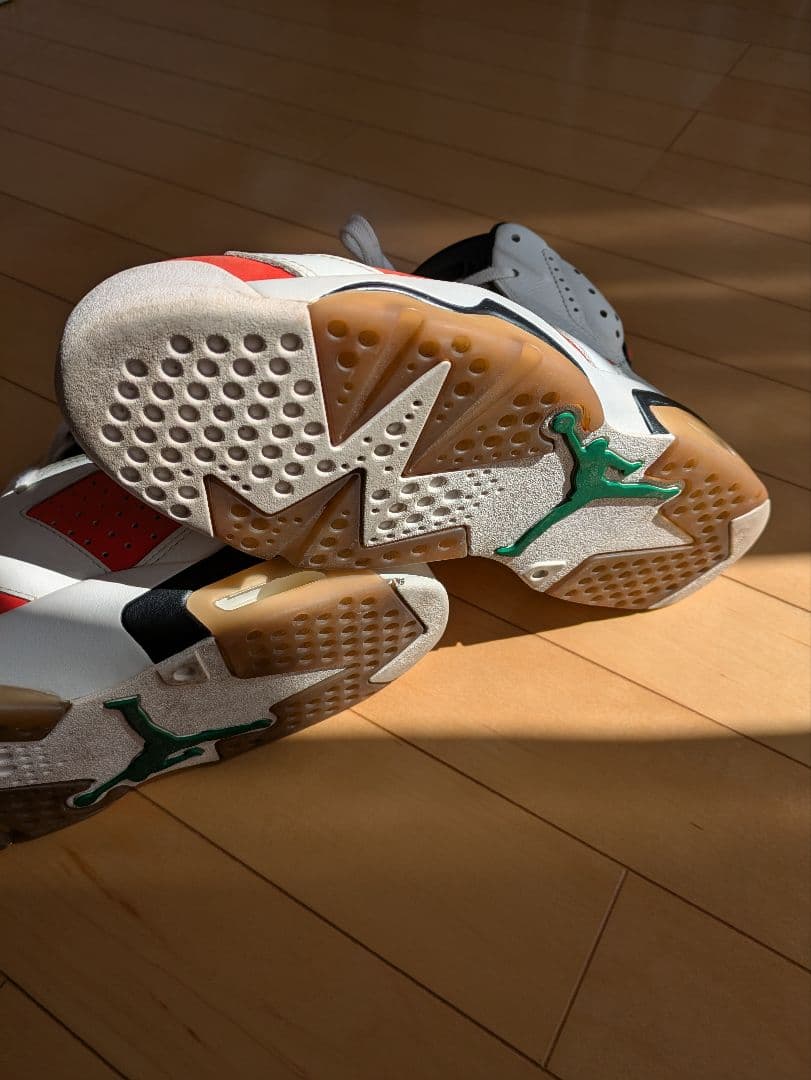 NIKE Air Jordan 6 Retro 28センチ