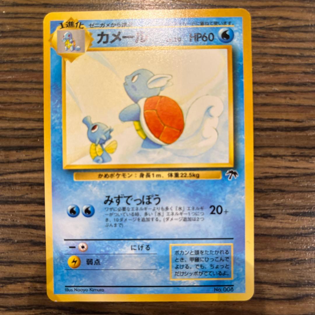 【極美品・未使用】ポケモンカード 旧裏 サザンアイランド トロピカルアイランド