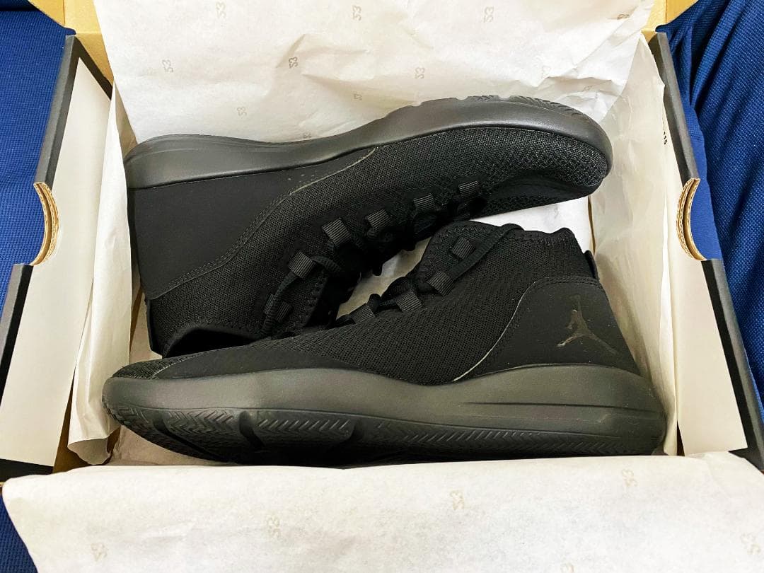 JORDAN REVEAL 26.5cm ジョーダンリビール
