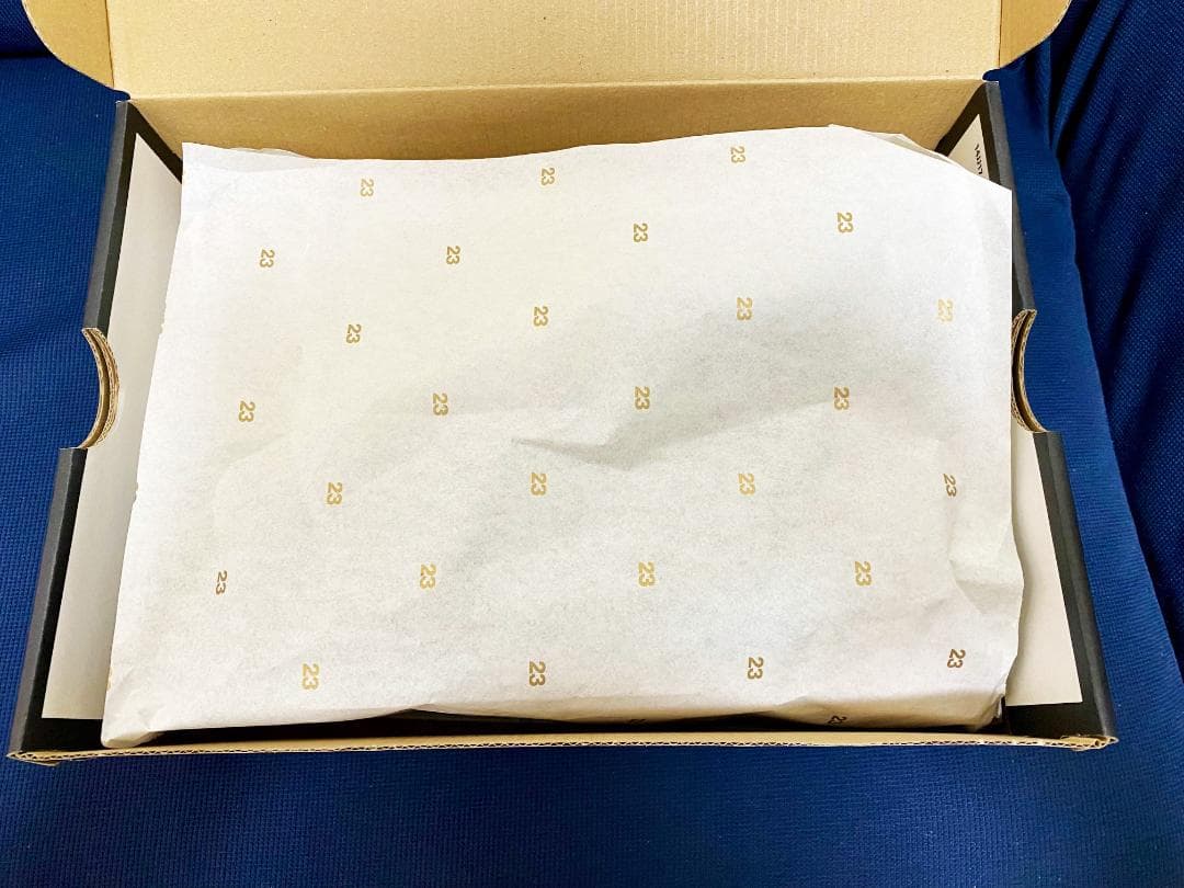 JORDAN REVEAL 26.5cm ジョーダンリビール