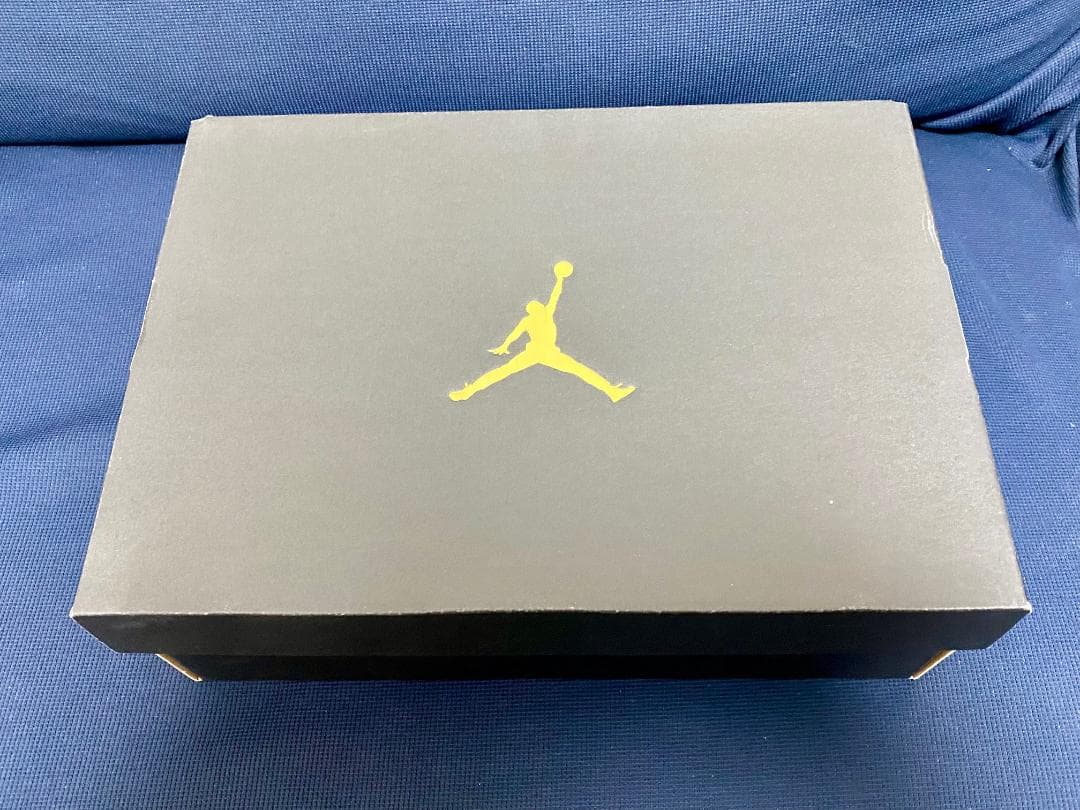 JORDAN REVEAL 26.5cm ジョーダンリビール