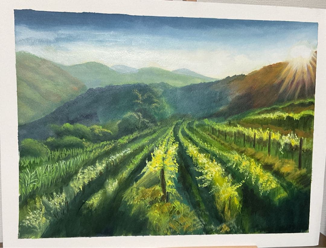 油絵　「　ブドウ畑の陽光　」原画