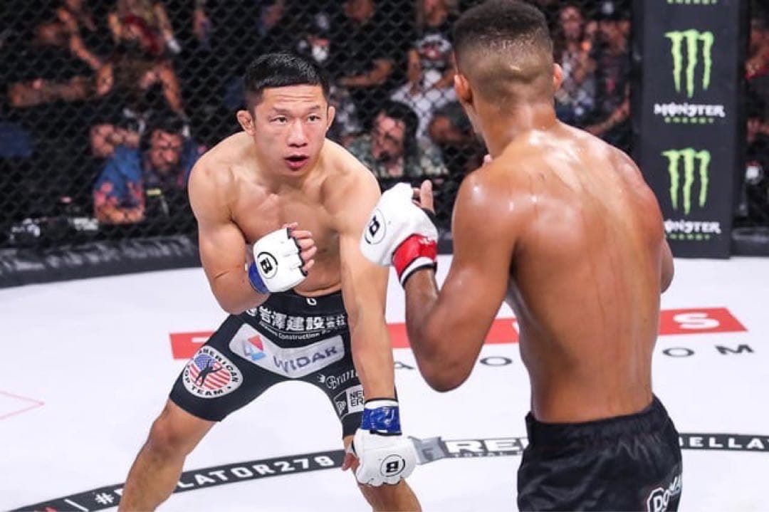 〈新品〉BELLATOR MMA 白グローブ 団体からの選手支給品