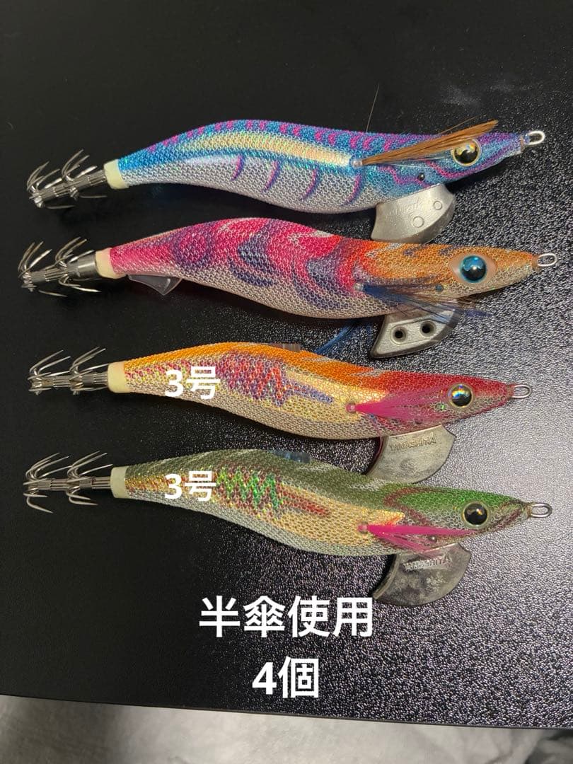 エギ王　セット