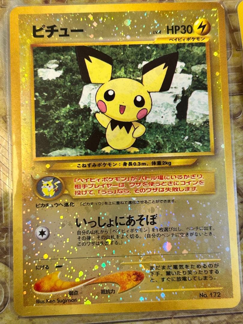ポケモンカード プレミアムファイルneo2リザードン、ピカチュウ、エンテイ等
