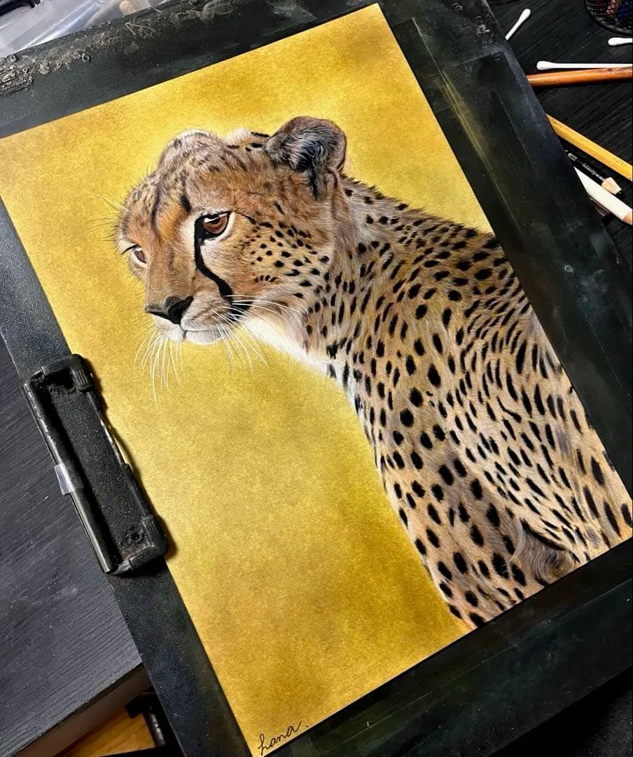 若いチーター　色鉛筆画