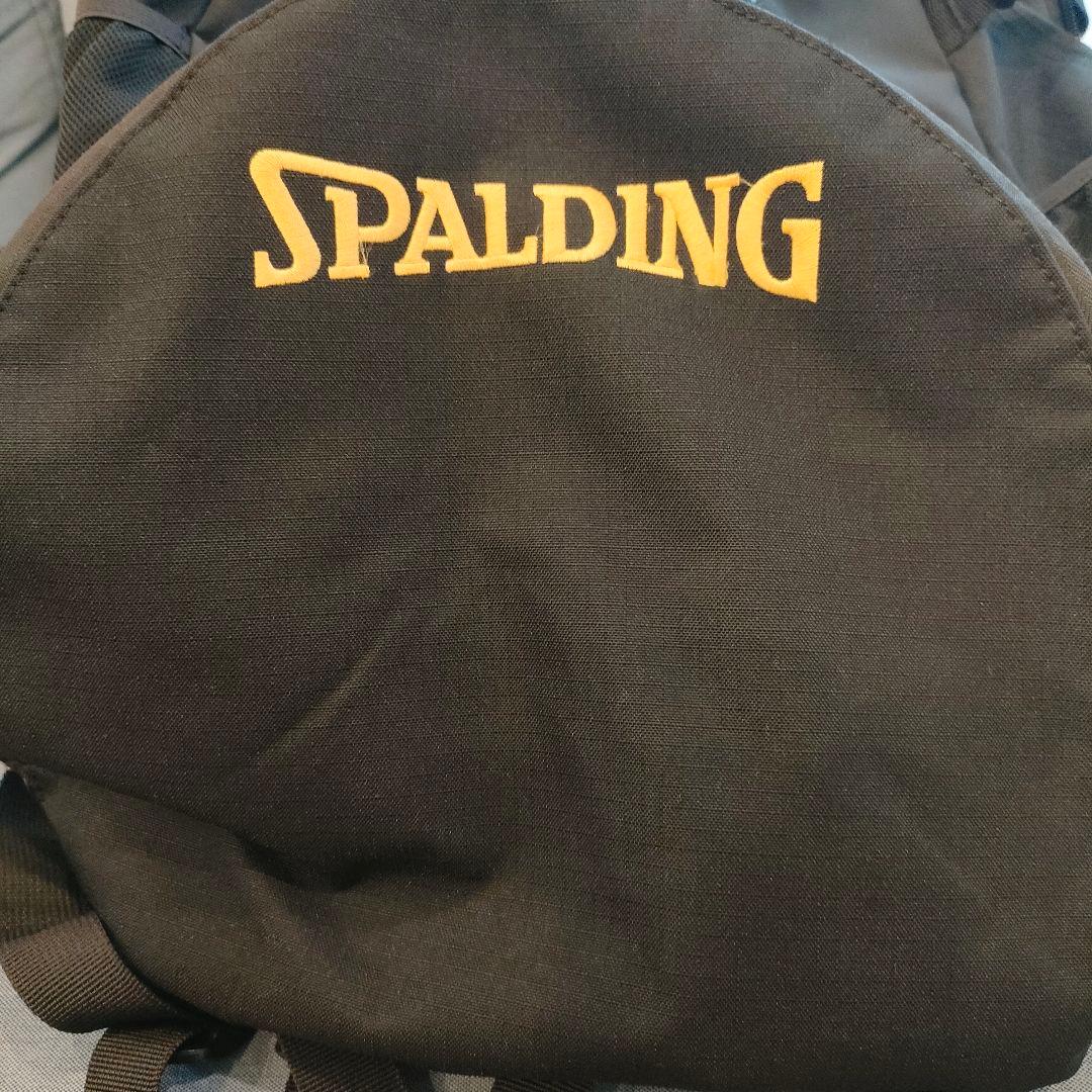 SPALDING バスケットボール用リュック パイナップル柄