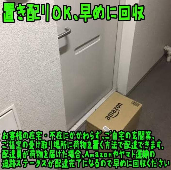 バッジ ジムリーダー　ホウエン地方　８種セット　布巾付リボン袋付【残3のみ】