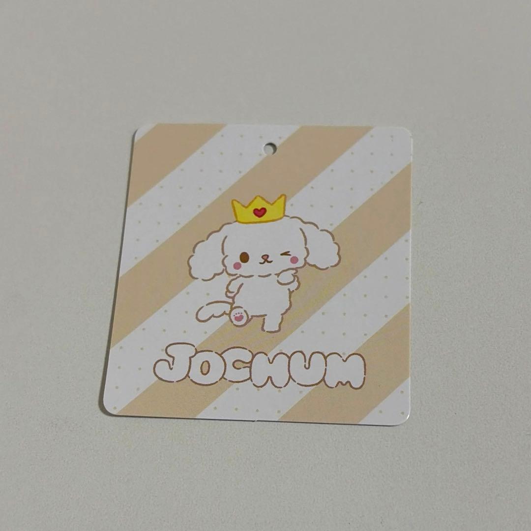 JOCHUM ジェオチャム ルル 初期 マスコット JO1 白岩瑠姫 トレカ