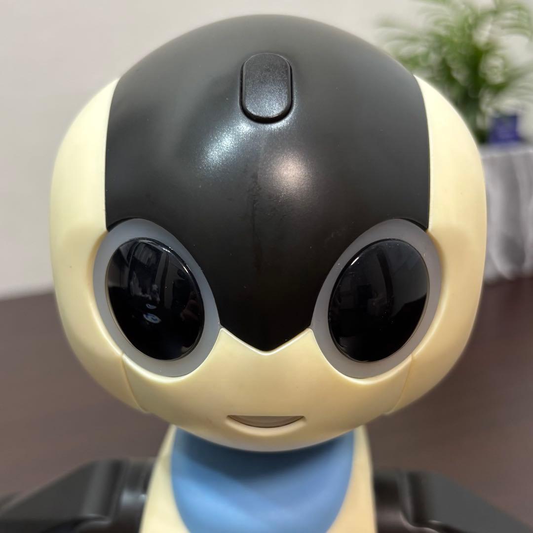 Robi ジュニア