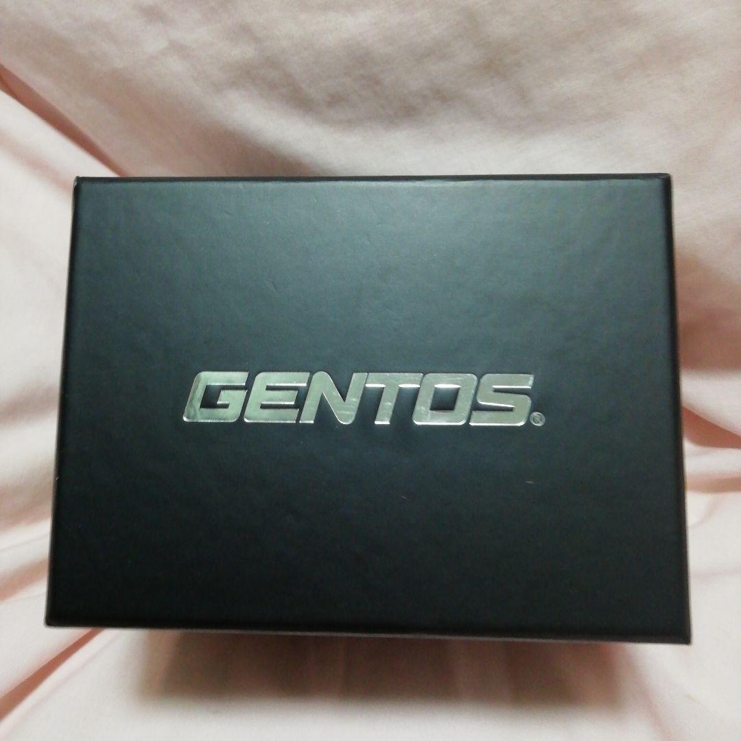 GENTOS GH-200RG ヘッドランプ