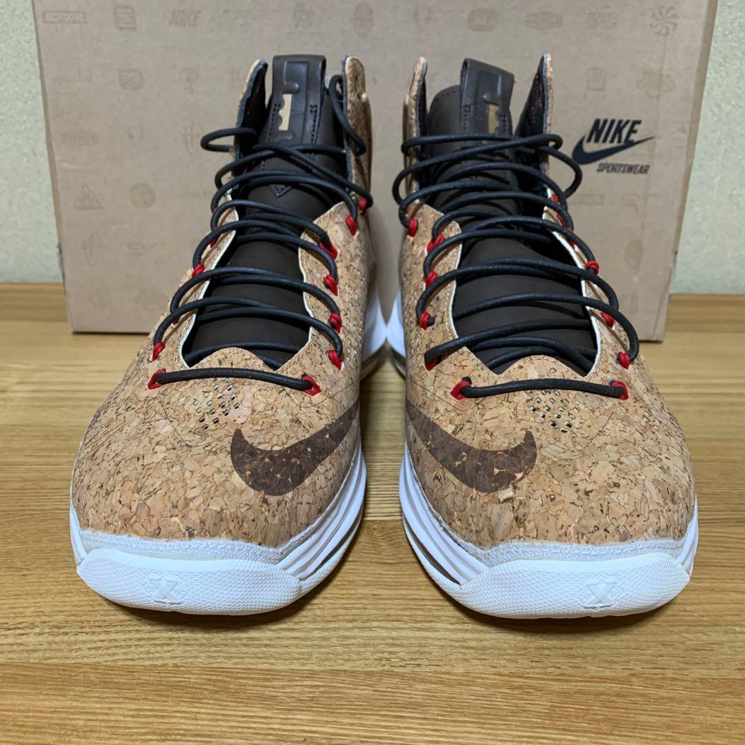 未使用NIKE ナイキLEBRON10 EXT CORK QS US10.5レア