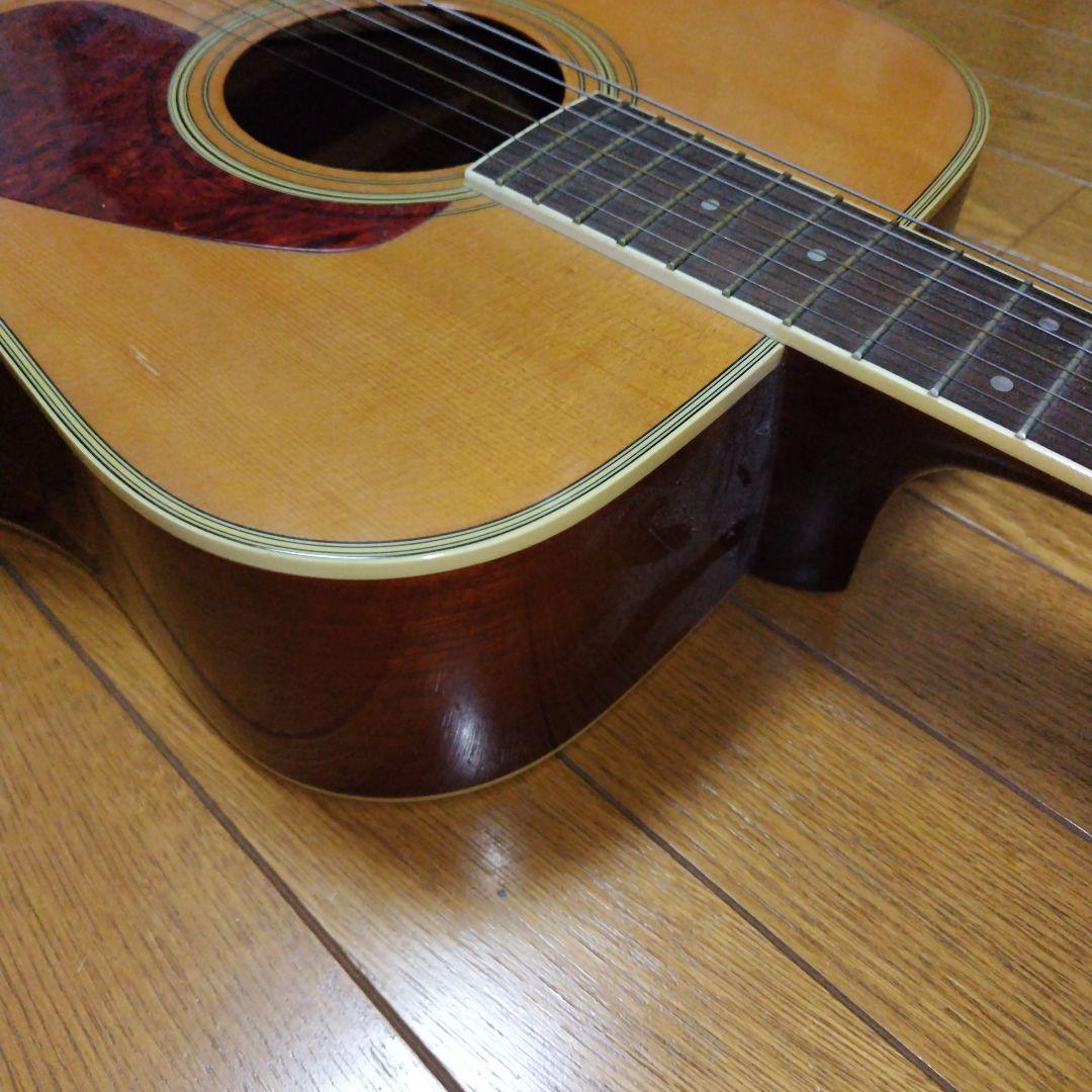 ギター Morris