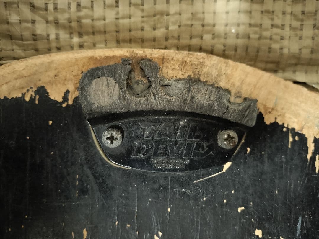 carver サーフスケートボード　TAIL DEVIL