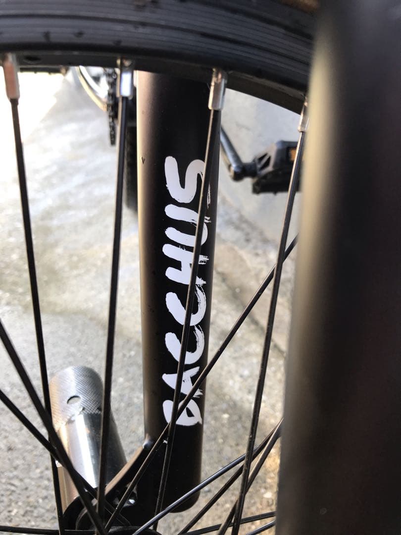 (AVASTA) BACCHUS ♡ BMX￼￼自転車