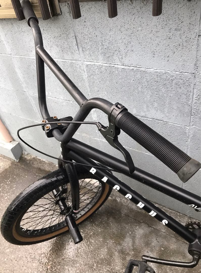 (AVASTA) BACCHUS ♡ BMX￼￼自転車