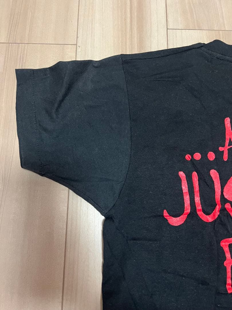 LLICA AND JUSTICE FOR ALL Tシャツ　Mサイズ