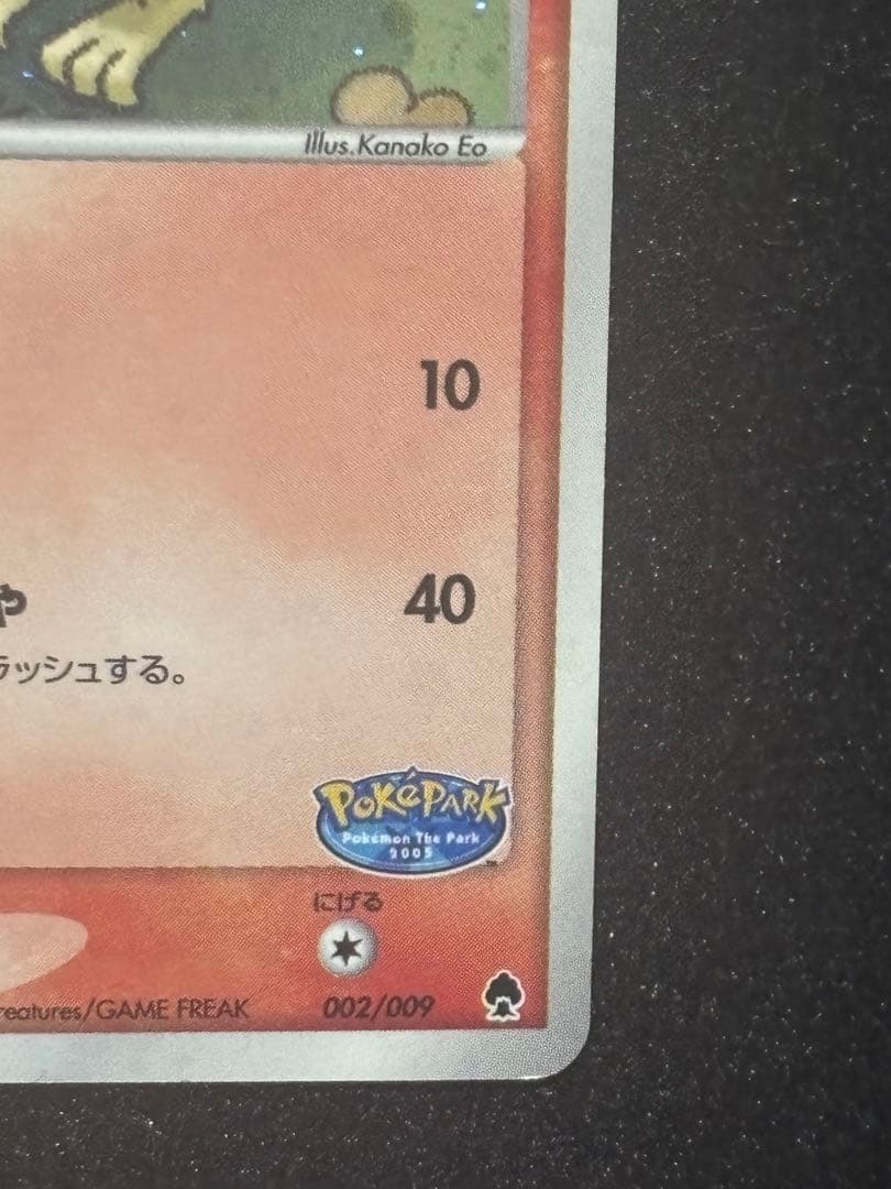 フォレストシート　渦巻きホロ有　ポケパークのアチャモ　002/009