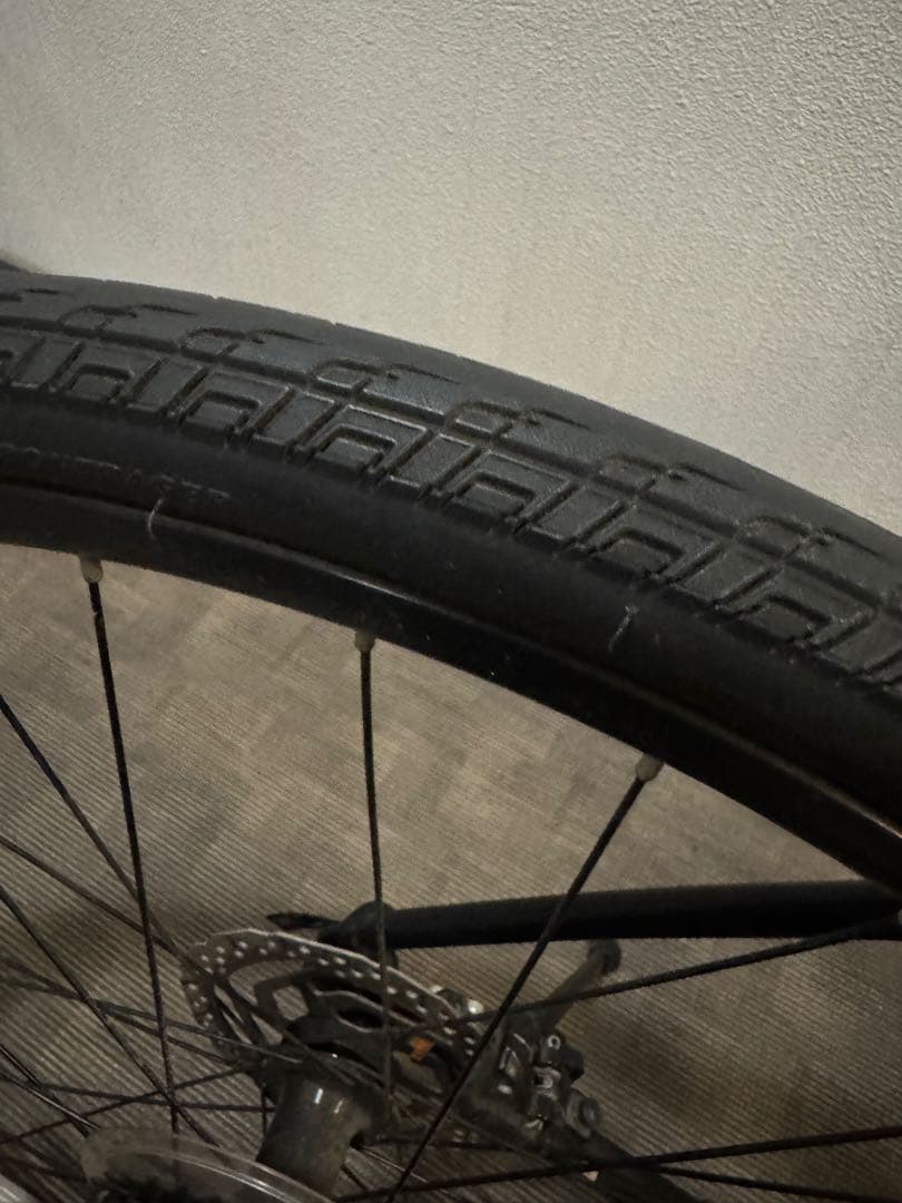 TREK FX3 DISK 2019 Lサイズ 油圧ディスクブレーキ