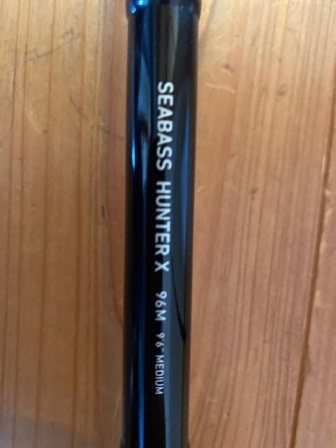 Daiwa Seabass Hunter X 96m シーバスロッド