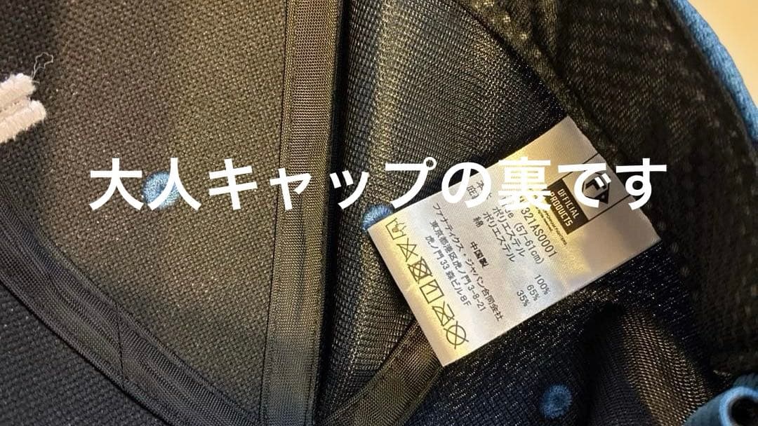 北海道日本ハムファイターズ 応援タオル