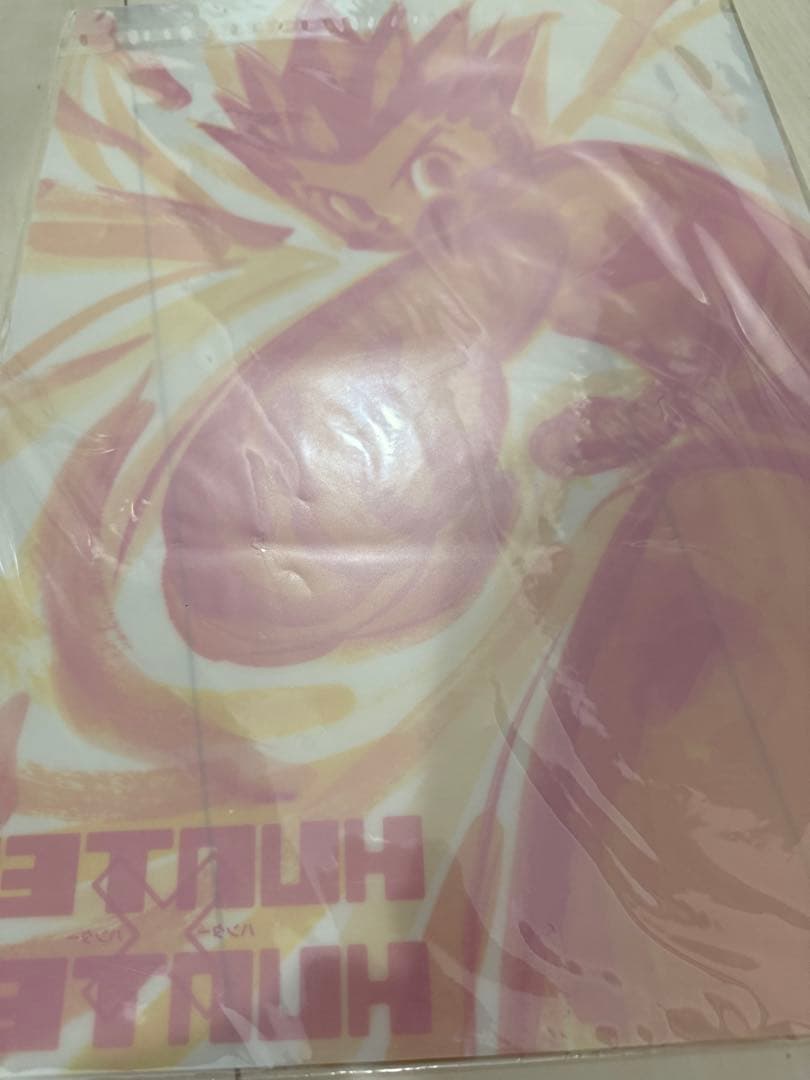 HUNTER×HUNTER クリアポスター