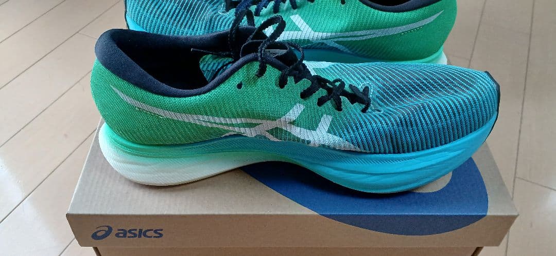 ASICS SPEED SKY+ 25.5㌢