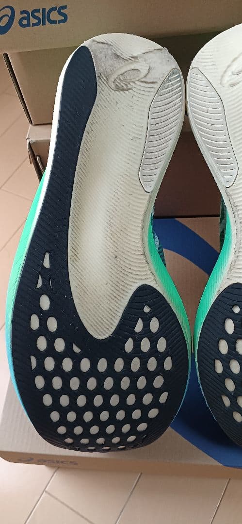 ASICS SPEED SKY+ 25.5㌢