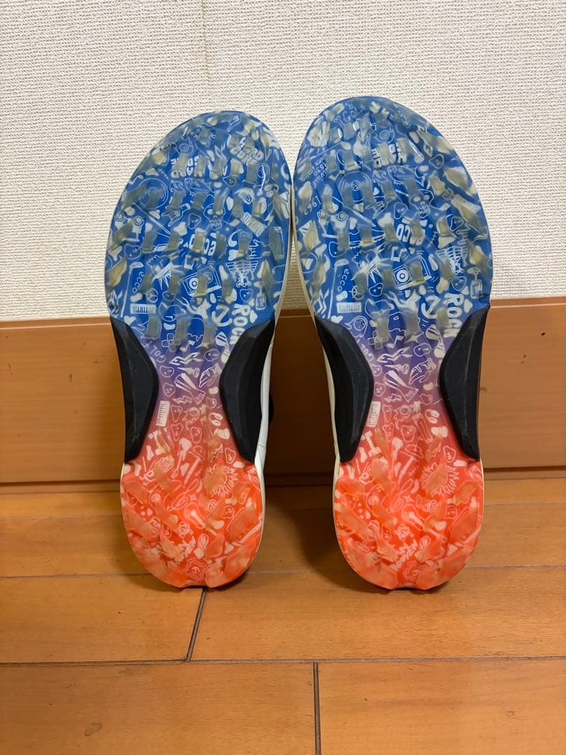 エコー バイオム H4 スパイクレス　限定品　コラボモデル　28cm相当