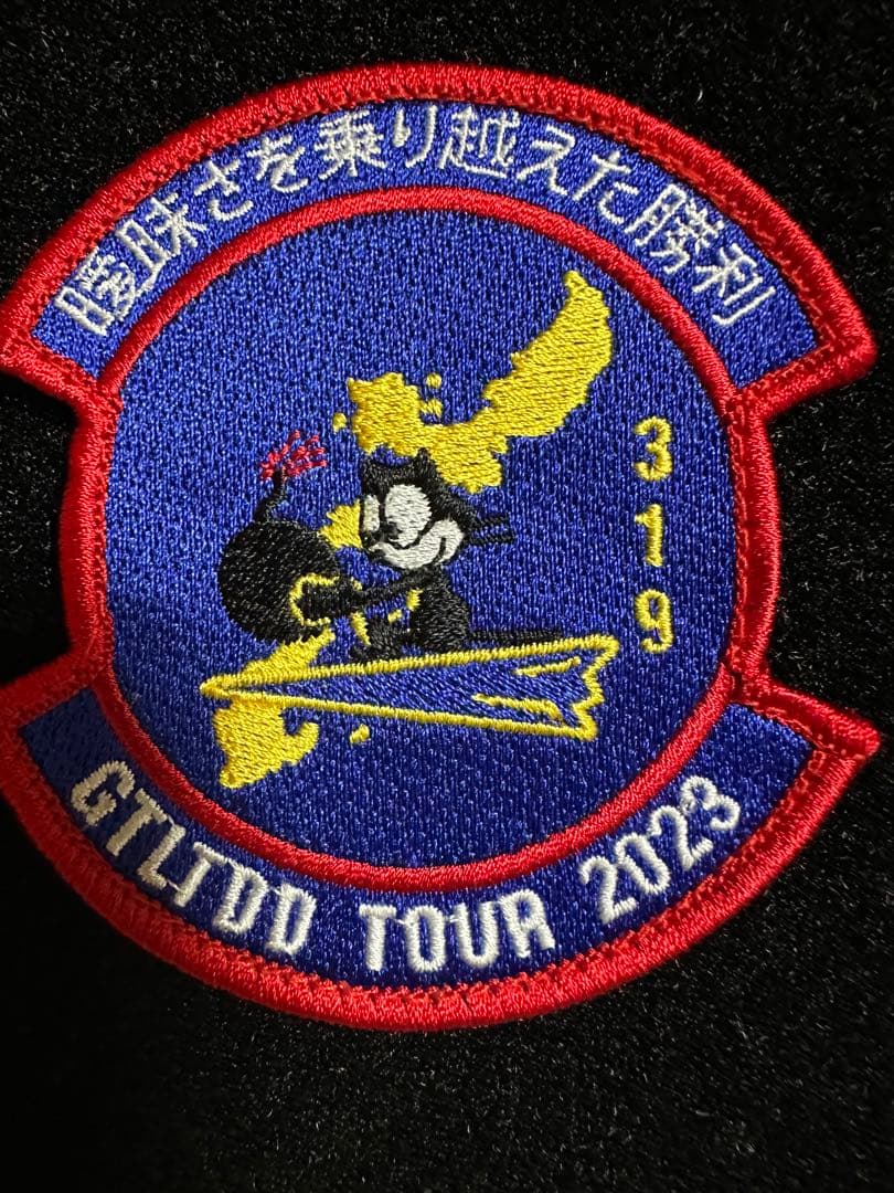 USAF 319ERS 展開パッチ