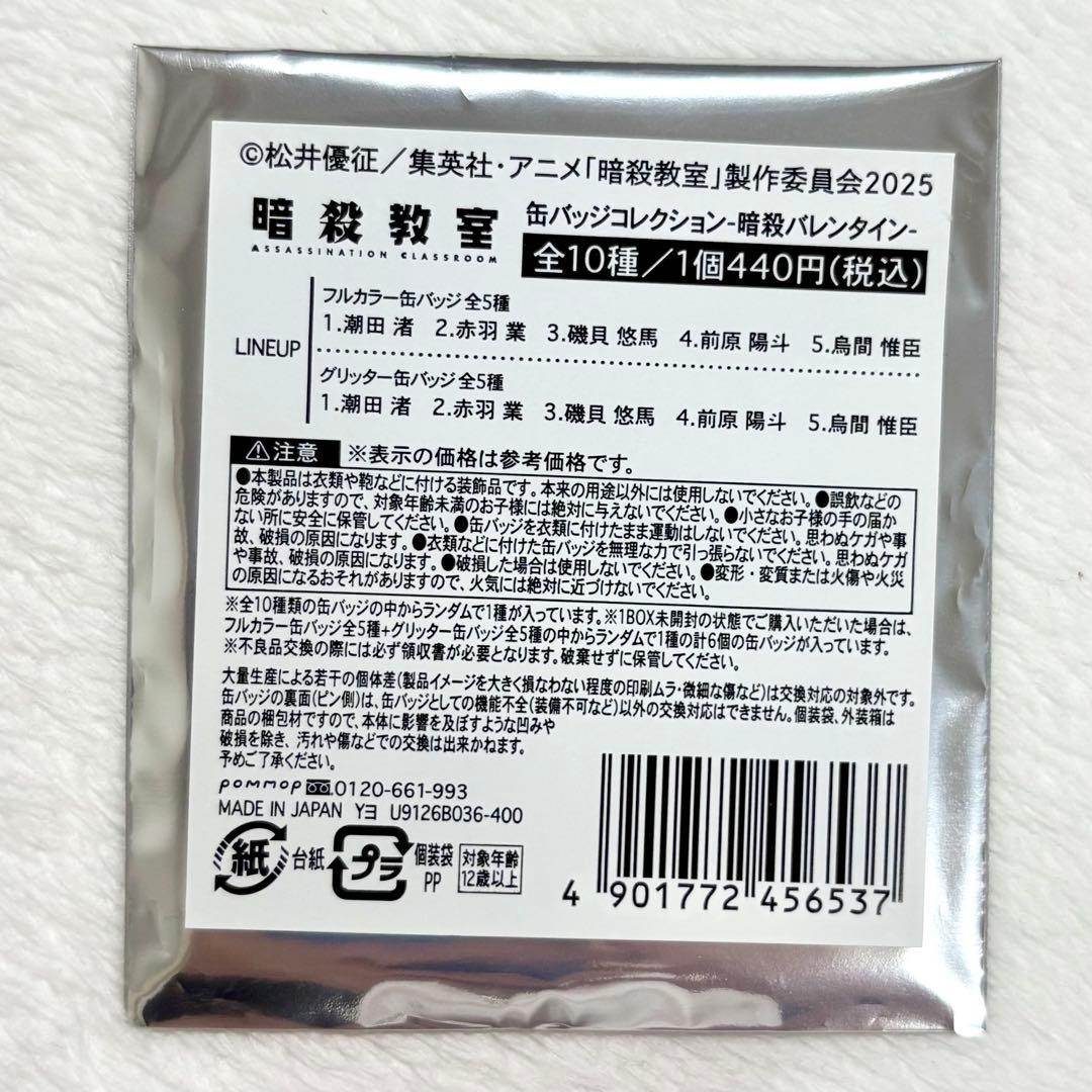 暗殺教室 バレンタイン 缶バッジ ノーマル 潮田 渚 10点