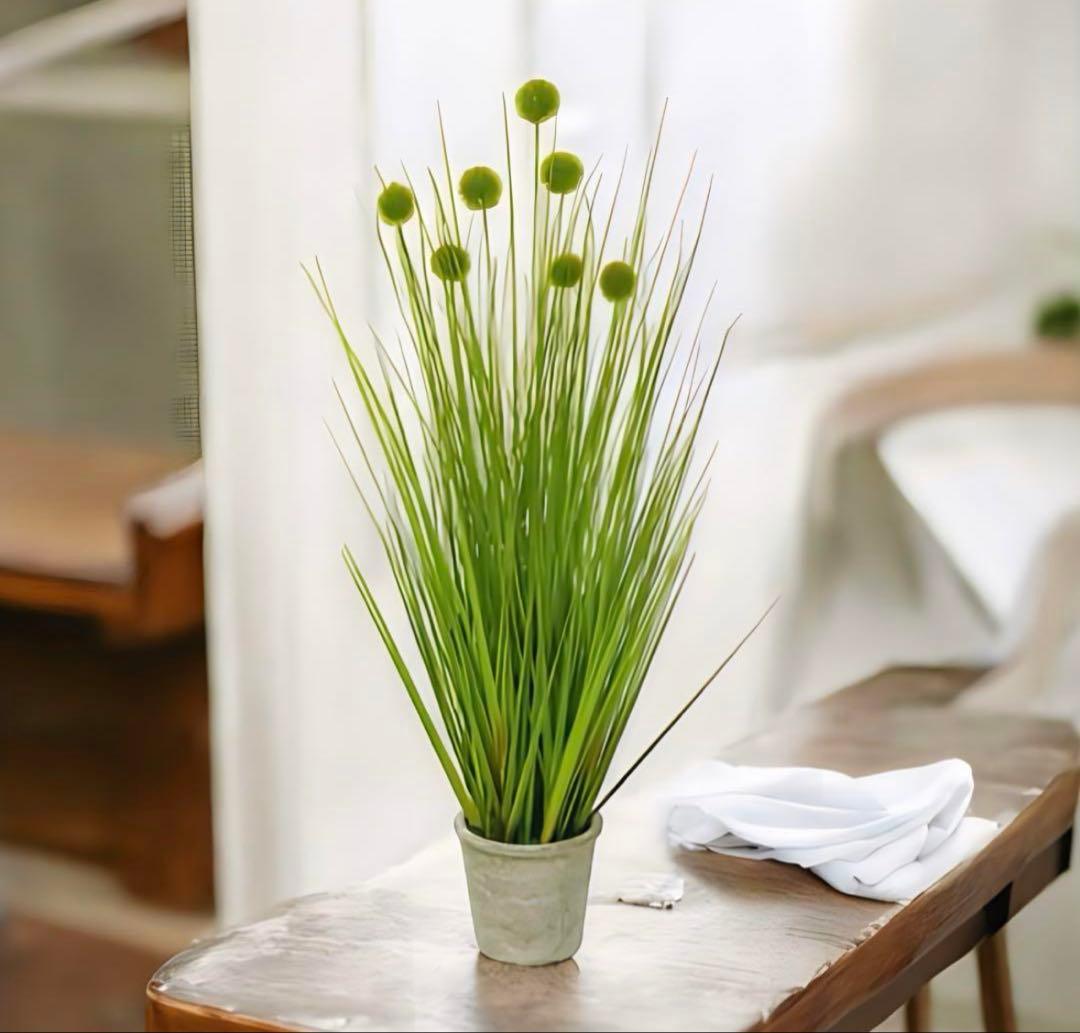 光触媒　人工観葉植物　ウォールグリーン　フェイクグリーン　ポンポングラスＭ2