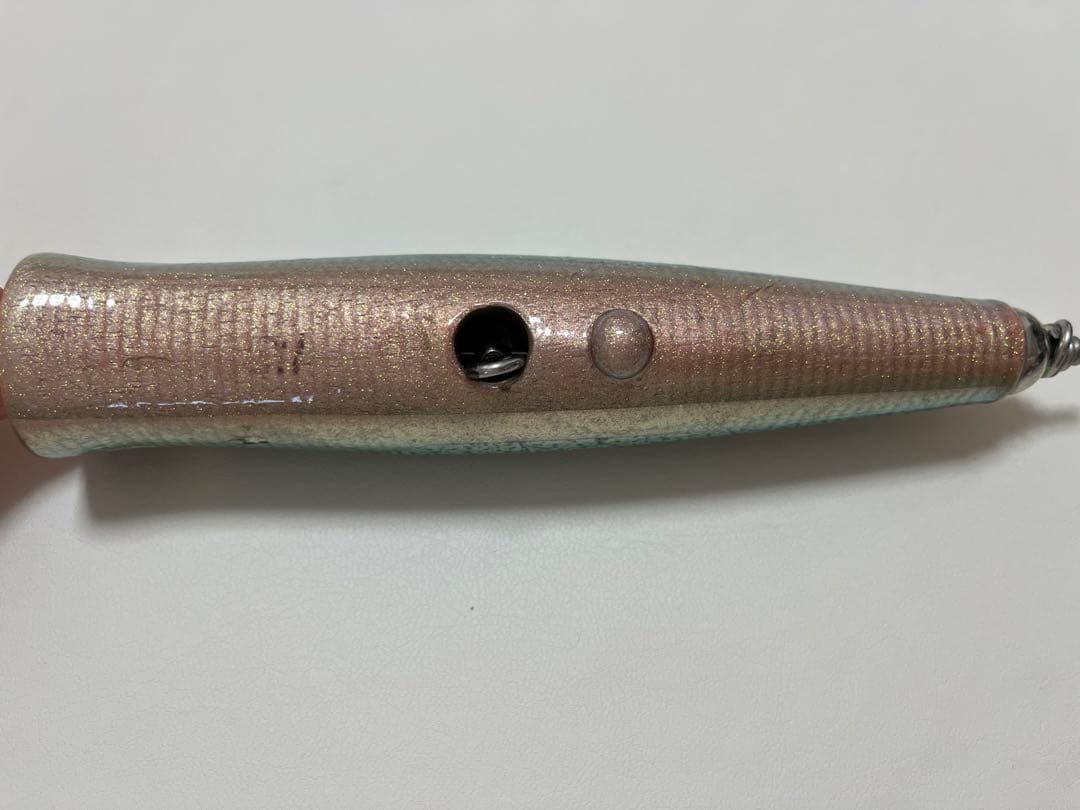ダムセル90 カーペンター　グルクン