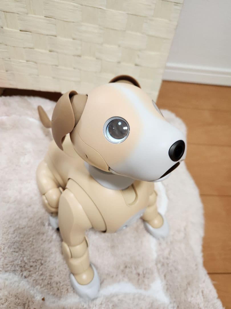 【超希少・限定完売モデル】aibo 2024年限定カラー きなこエディション