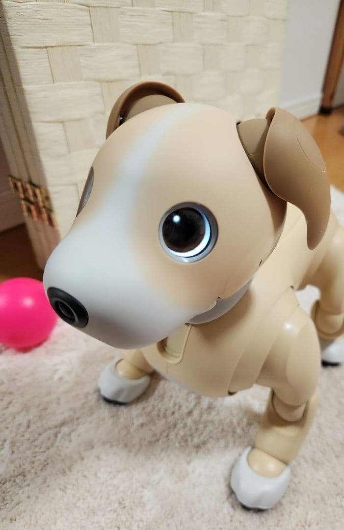 【超希少・限定完売モデル】aibo 2024年限定カラー きなこエディション
