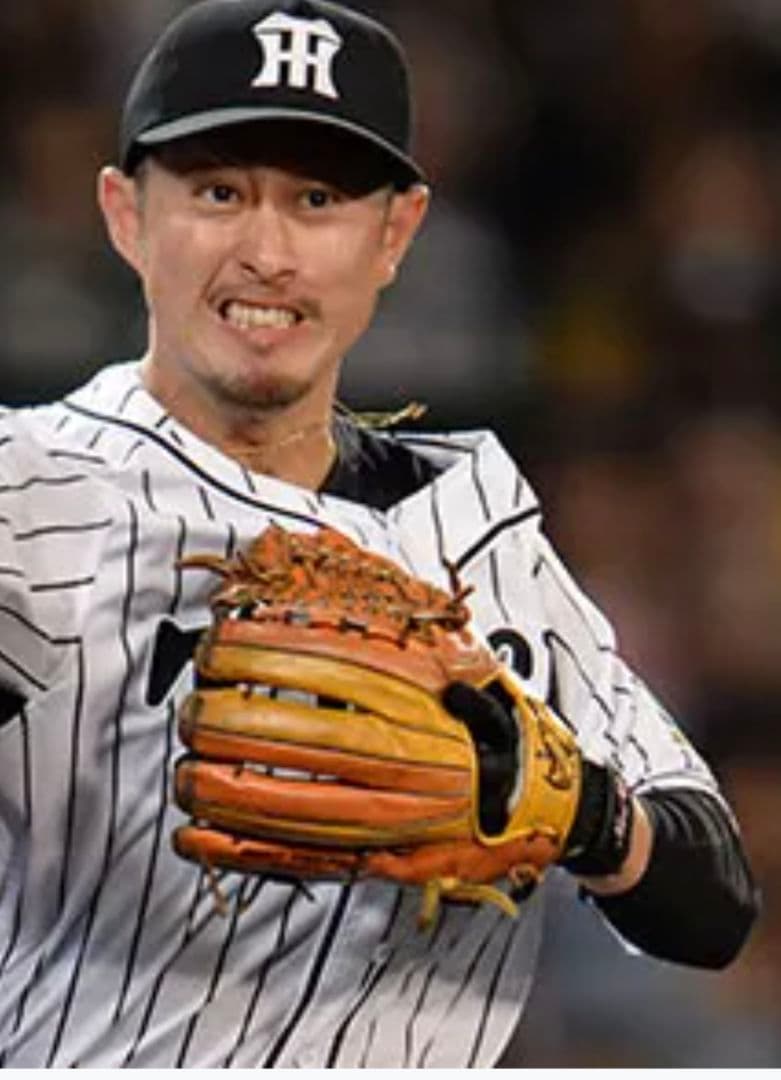 ハタケヤマ　硬式　内野グローブ 今成亮太　PRO-049　本人仕様