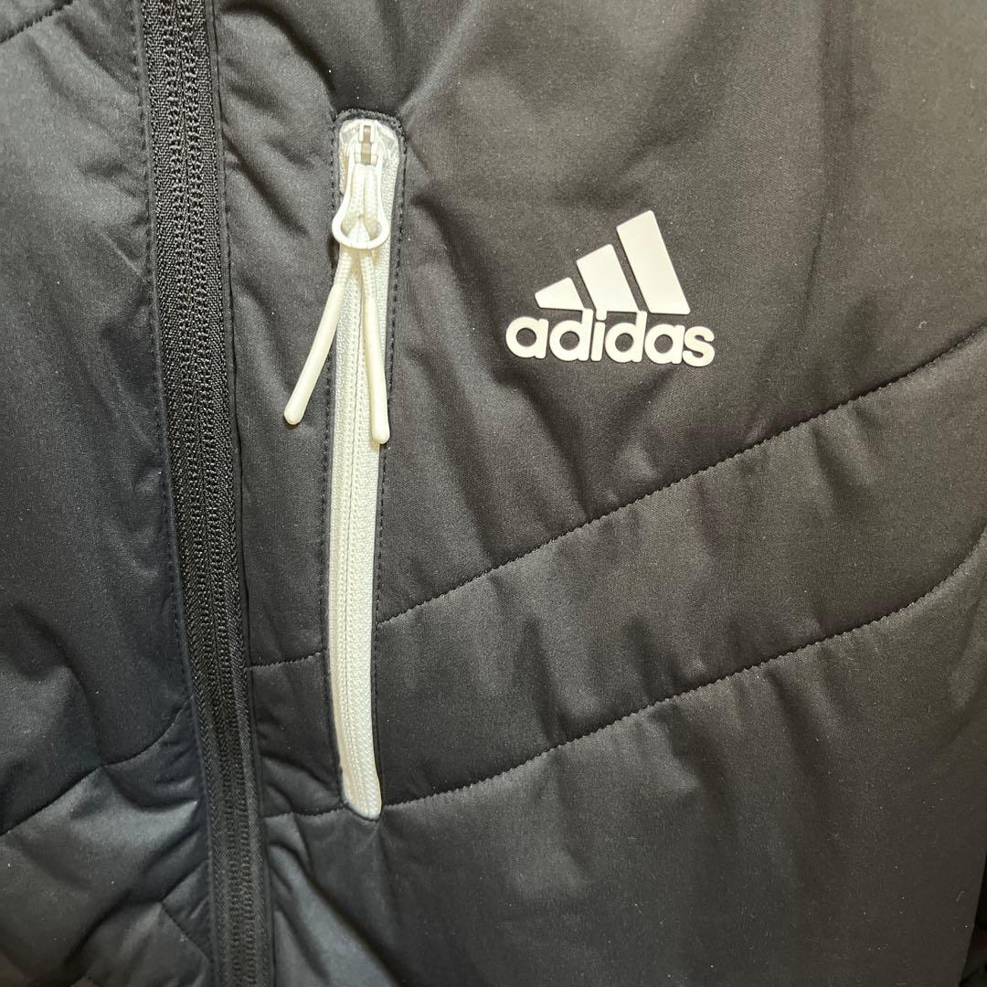 adidas 中綿ジャケット メンズ ゴルフ