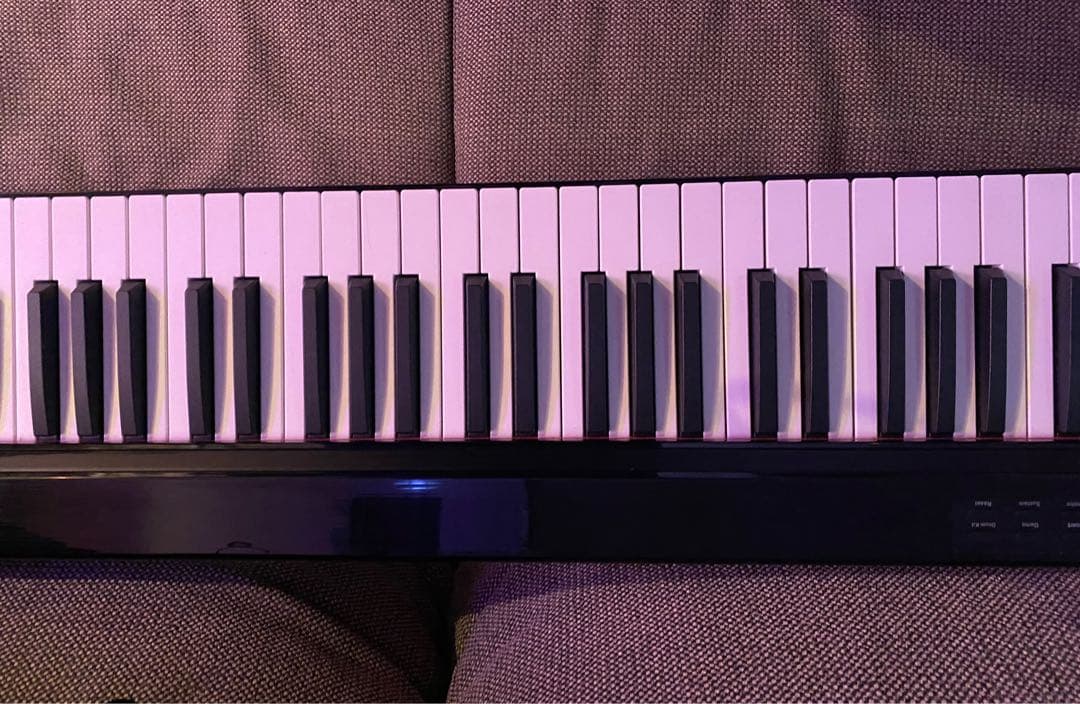 電子ピアノ　キーボード　88鍵盤　ケース、イヤフォン　充電USBケーブル セット