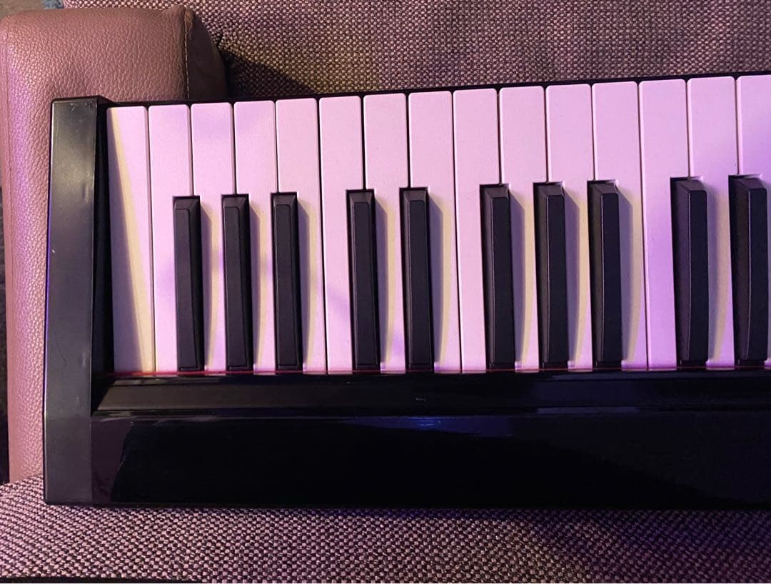電子ピアノ　キーボード　88鍵盤　ケース、イヤフォン　充電USBケーブル セット