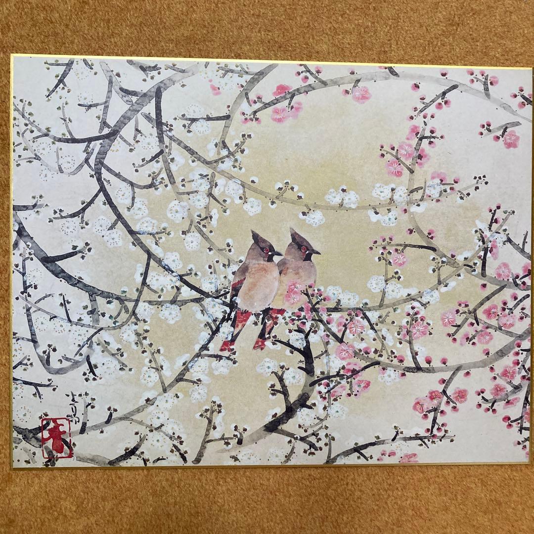 前田青邨　大型色紙5枚セット須磨、梅日和、￼連雀、牡丹、貝+ハードケース 解説文