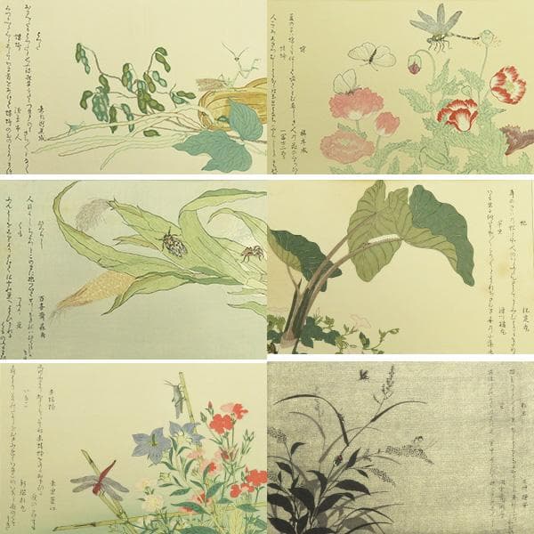 M-0012【真作】喜多川歌麿 木版画 虫えらみ 15図セット/浮世絵師 書画