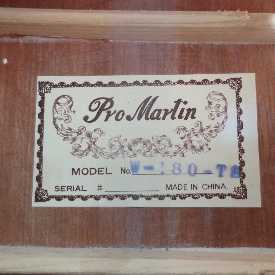 弦交換Pro Martin W-180 TS アコースティックギター