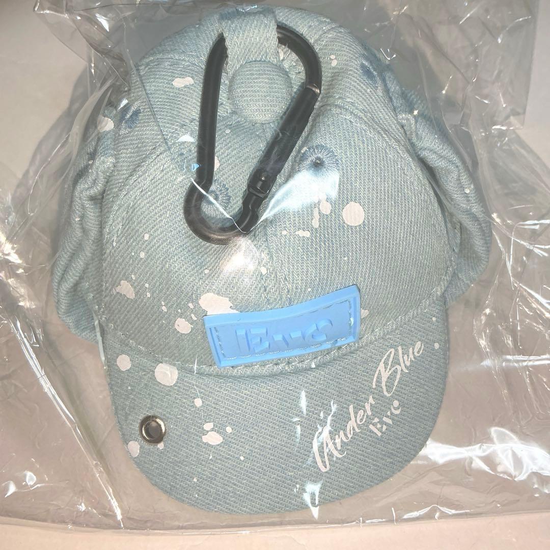 期間限定オークション⭐︎Eve くじ キャップポーチ underblue