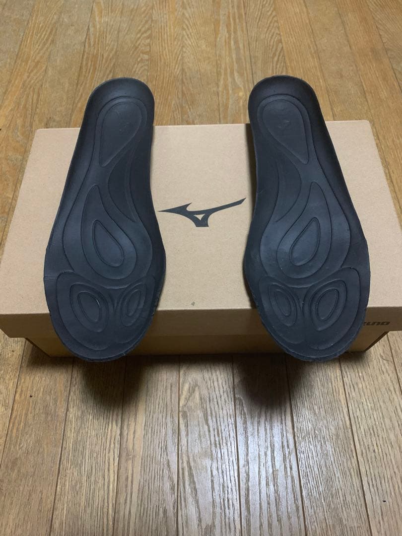 MIZUNOモナルシーダNEOⅡPRO