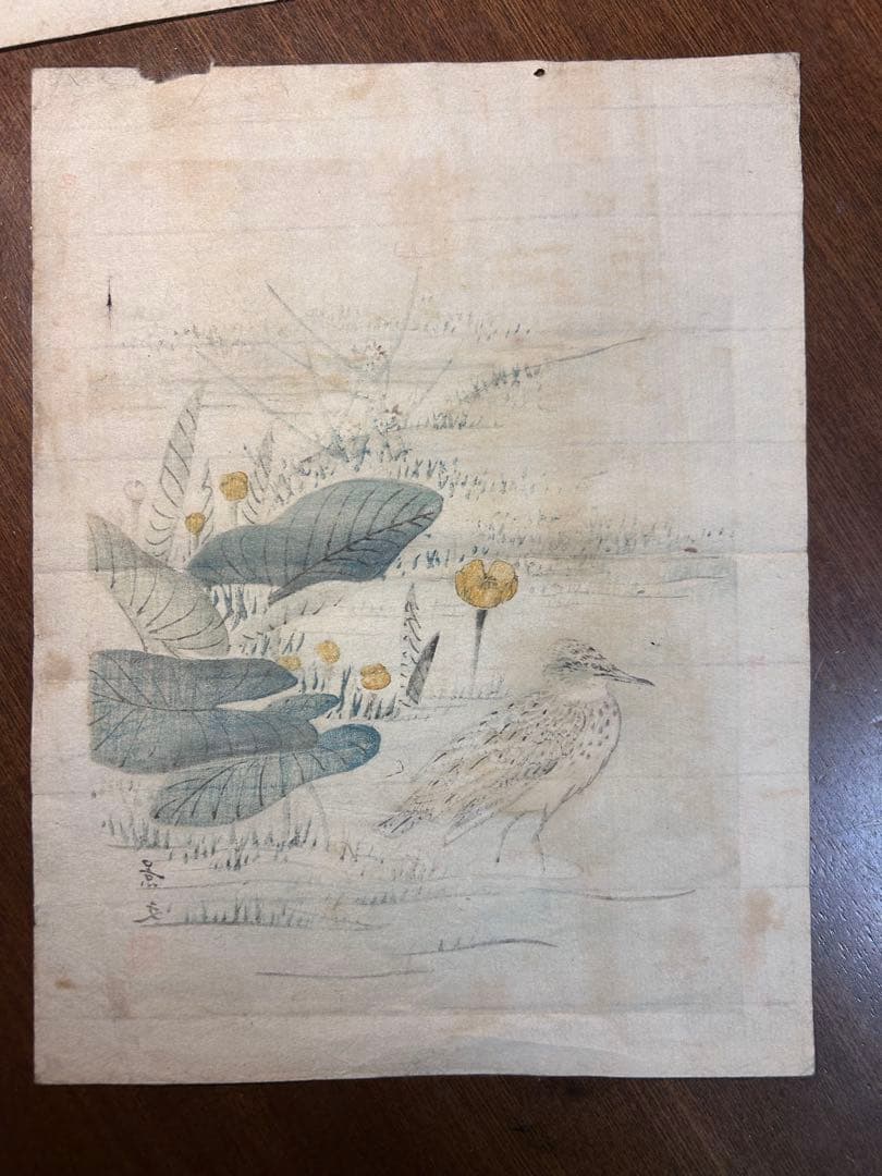 明治27年　木版画　「景文花鳥画譜」　松村景文　花鳥