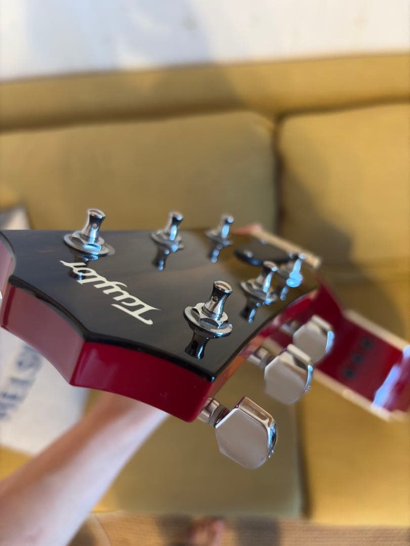 最終価格‼️Taylor 214ce RED DLX ES2 2019 ケース付