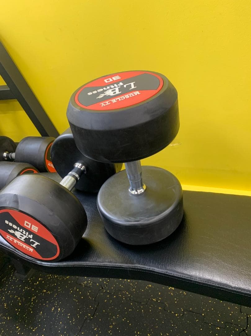 ラバーラウンドダンベル 30kg × 2個（合計60kg）