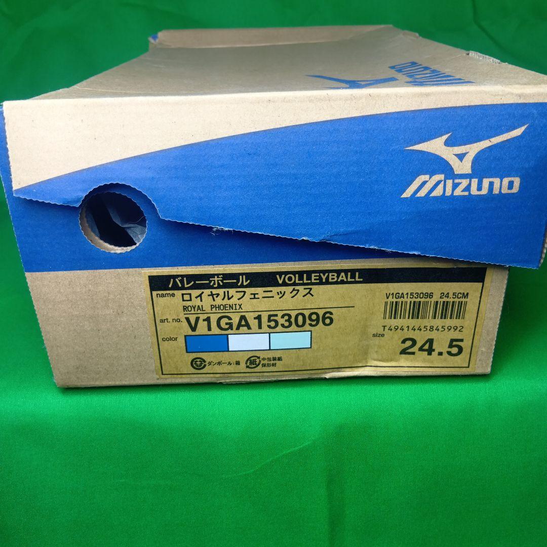 Mizuno ミズノ　ロイヤルフェニックス　バレーボールシューズ　 新品未使用