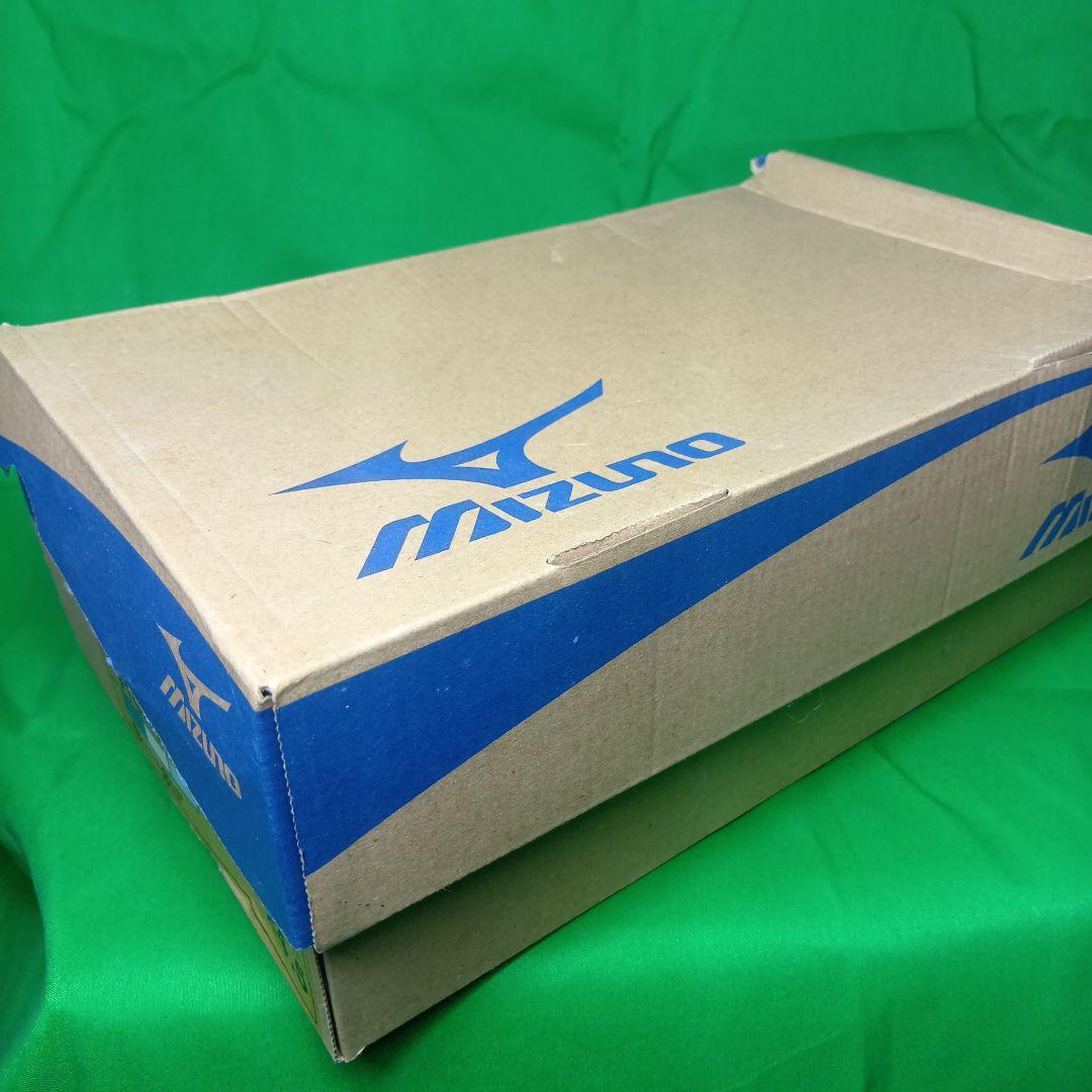 Mizuno ミズノ　ロイヤルフェニックス　バレーボールシューズ　 新品未使用